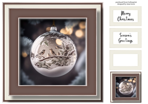 Bird In Snowy Christmas Bauble 2 8x8 - No Flowers