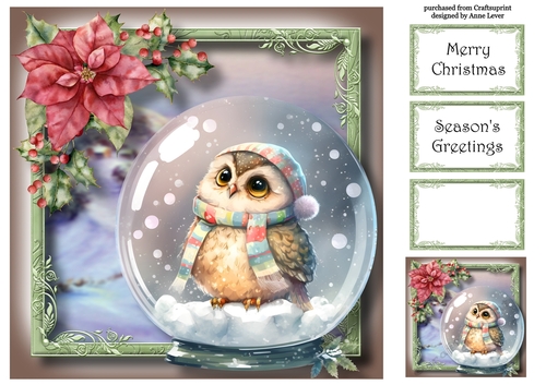 Gorgeous Owl Snowglobe 2 8x8
