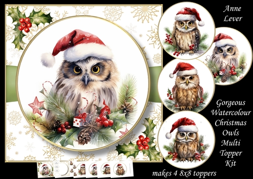 Gorgeous Watercolour Christmas Owl Multi Topper Kit