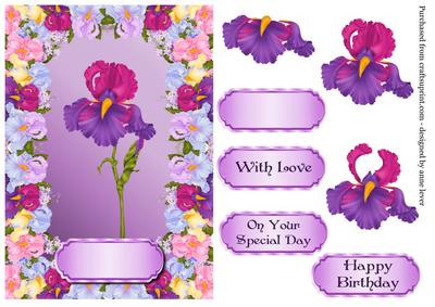 Floral Full of Colour