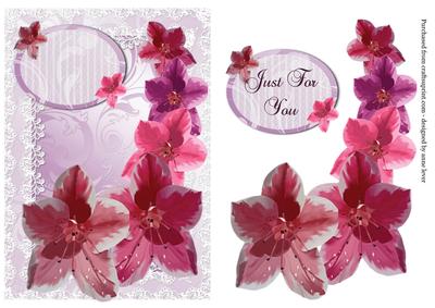 Lace Framed Jacquard Azalea