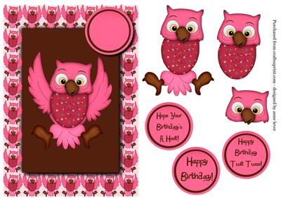Pink Owl Birthday
