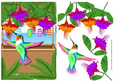Tropical Hummingbird & Fuchsias