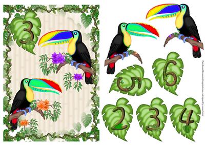 Toucan Jungle Age Topper 2 3 4 5 6