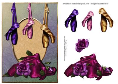 Gorgeous Ballet Shoes & Twilight Rose