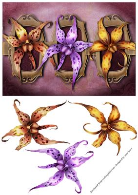 Stunning Orchid Trio + Decoupage