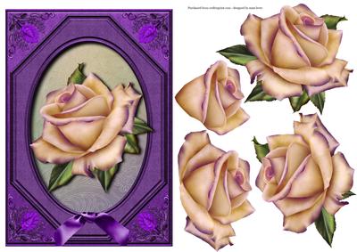 Single Cream Heritage Rose + Decoupage