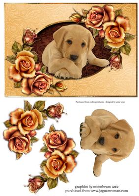 Golden Retriever Puppy & Fantasy Roses