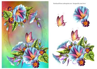 Morning Glory & Butterfly