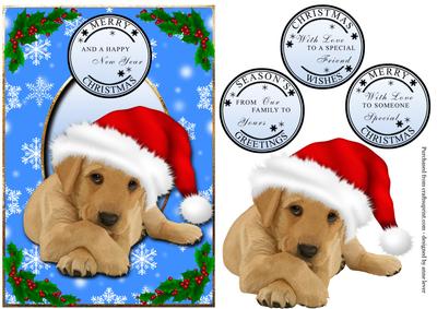 Gorgeous Golden Retriever Puppy Christmas