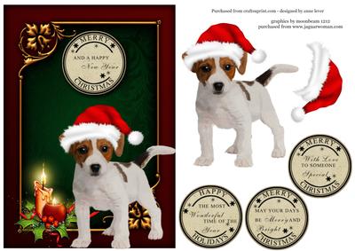 Jack Russell Puppy Christmas