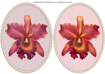 2 Gorgeous Single Orchid & Pearl Frame Toppers