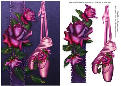 Beautiful Ballet Shoes & Twilight Roses