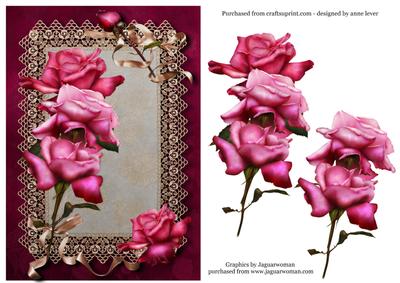 Beautiful Pink Roses on Lace