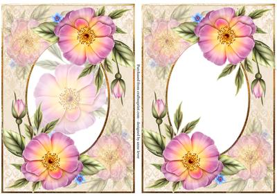 Pale Pink Wild Roses + Extra Decoupage Frame