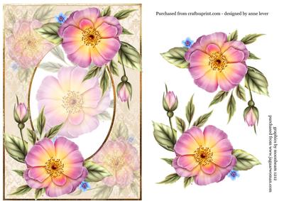Pale Pink Wild Roses + Decoupage
