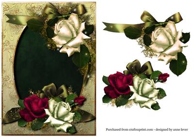 Stunning Magenta & White December Roses