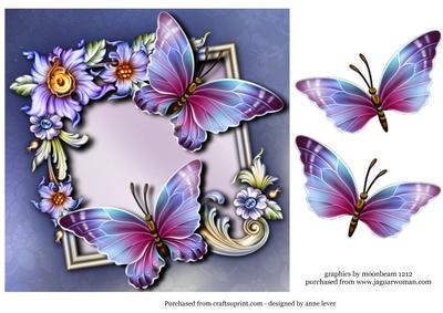Beautiful Butterflies & Fancy Flowers Frame
