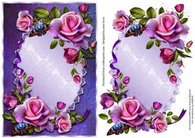 Beautiful Romantica Roses