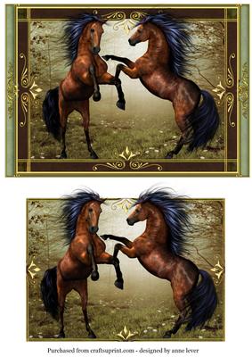 Wild Stallions - the Battle
