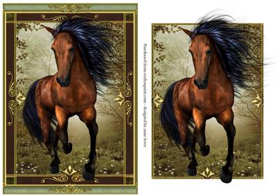 The Wild Stallion