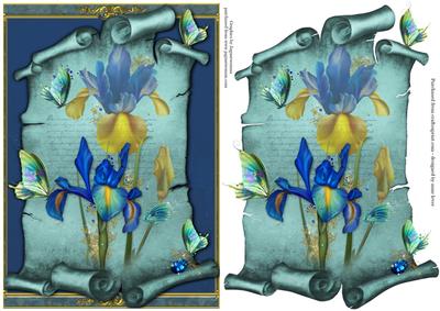 Dutch Iris & Iridescent Butterflies Scroll Topper