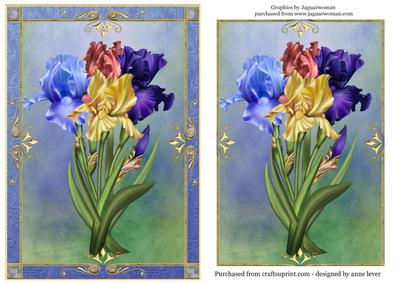 Beautiful Bunch of Irises
