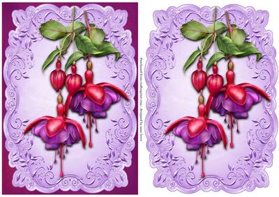 Gorgeous Fuschias Topper & Plaque