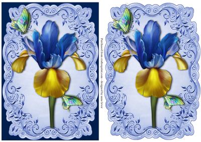 Beautiful Dutch Iris Topper & Plaque