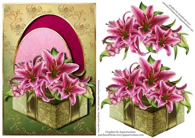 Beautiful Stargazer Lilies in a Gift Box