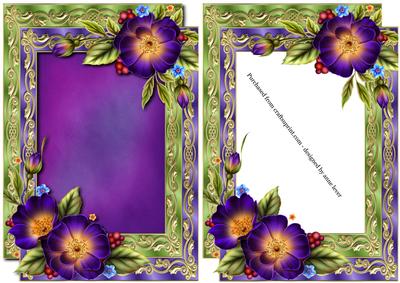 Double Satin Frame & Gorgeous Wild Roses