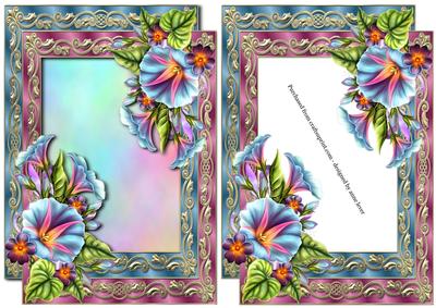 Double Satin Frame & Morning Glory