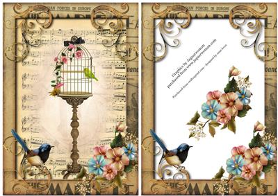 Shabby Chic Birdcage + Sheet Music
