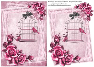 Birdcage and Roses in Pink