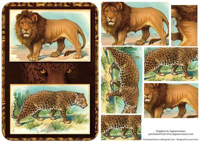 Big Cats Pyramid - Lion, Leopard