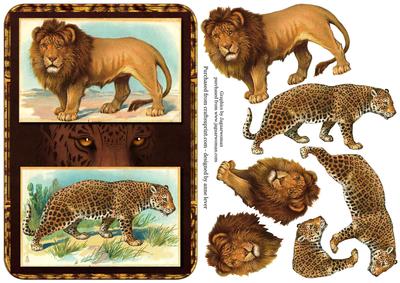 Big Cats Step by Step - Lion, Leopard