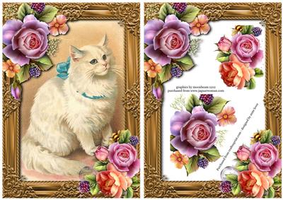 Vintage White Cat & English Roses