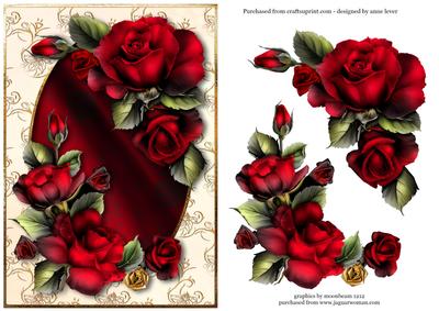 Beautiful Drama Roses