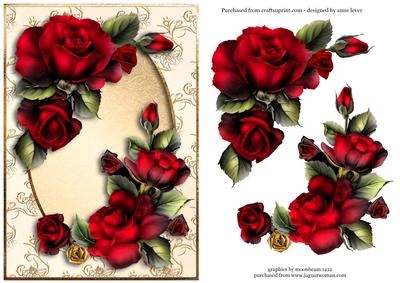 Gorgeous Drama Roses