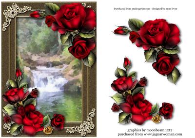 Gorgeous Red Roses at the Waterfall