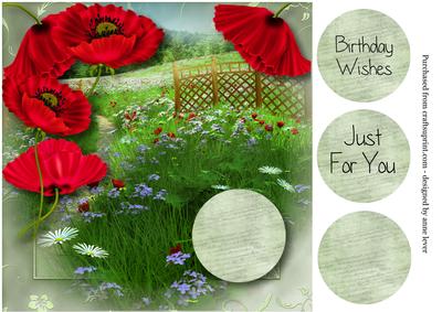 Beautiful Poppies & a Summer Meadow