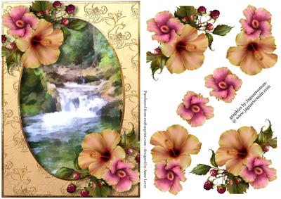 Hibiscus & Berries at the Waterfall