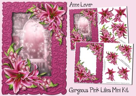 Gorgeous Pink Lilies Mini Kit - Xtra Frame & Dec