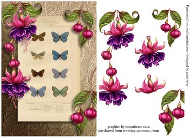 Botanical Butterflies & Fuschias