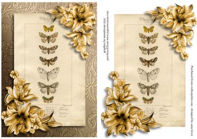 Botanical Moths & Lilies + Extra Plaque