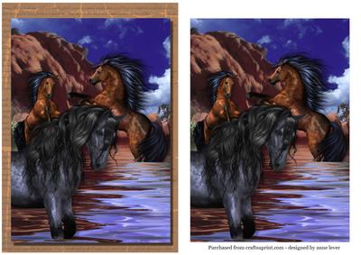 Wild Mustang Horses