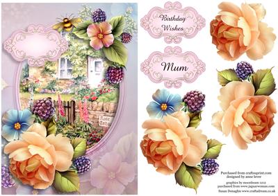 Pretty Peach Rose Cottage