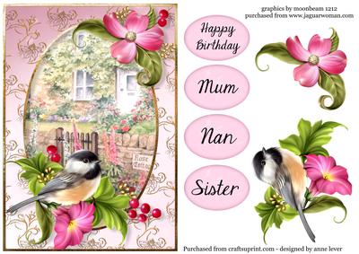 Beautiful Bird at the Rose Cottage