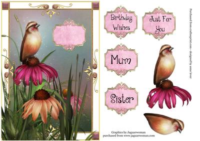 Summer Bird & Pink Flowers