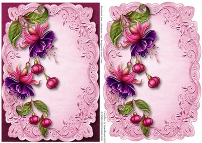 Fabulous Fuschias Topper & Plaque